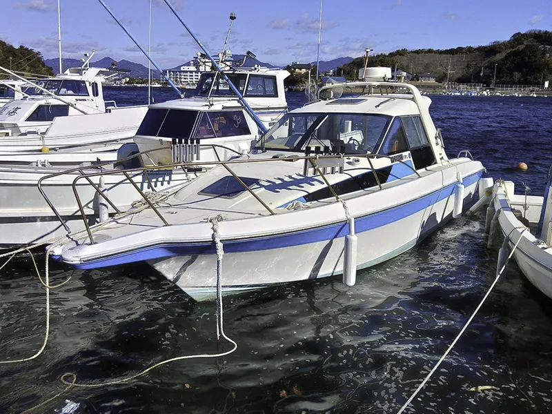 クルージング船