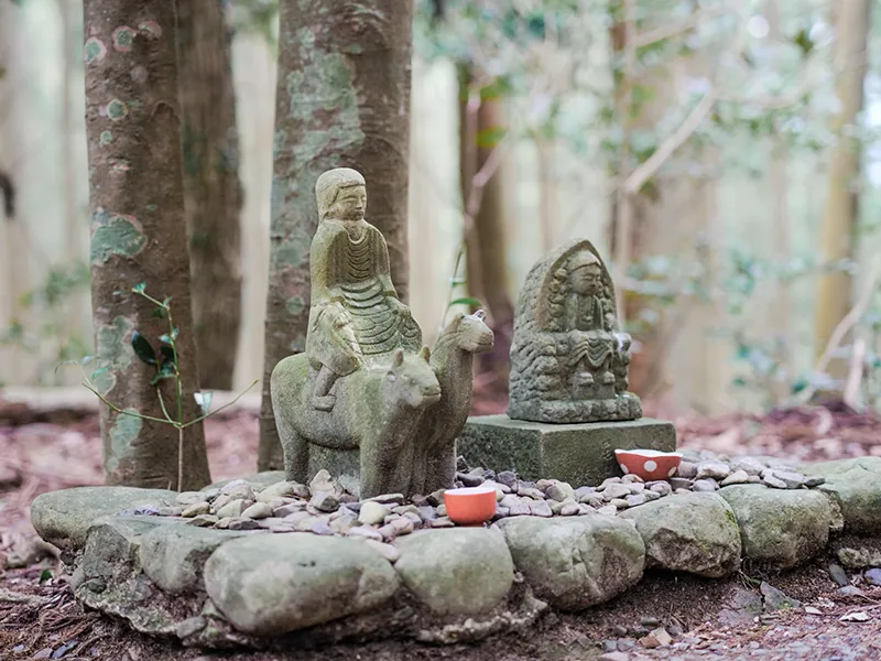 クルージングイメージ