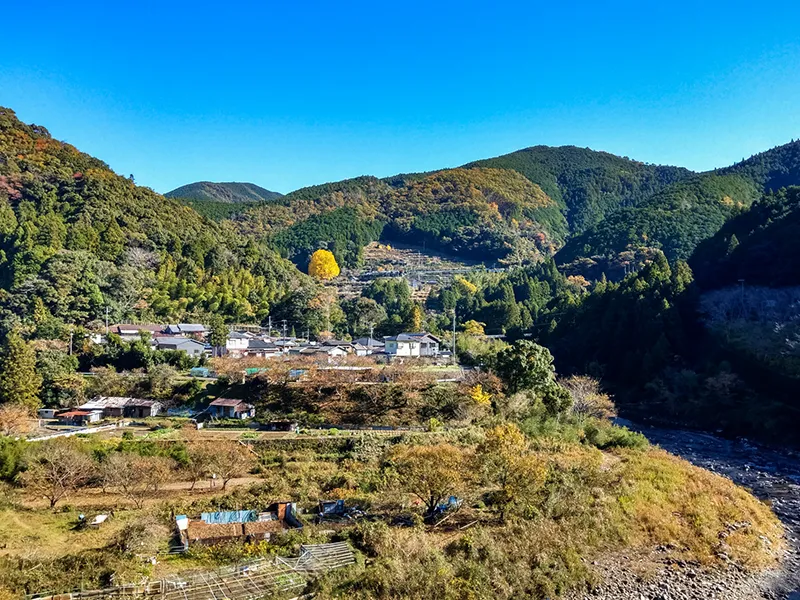 クルージングイメージ